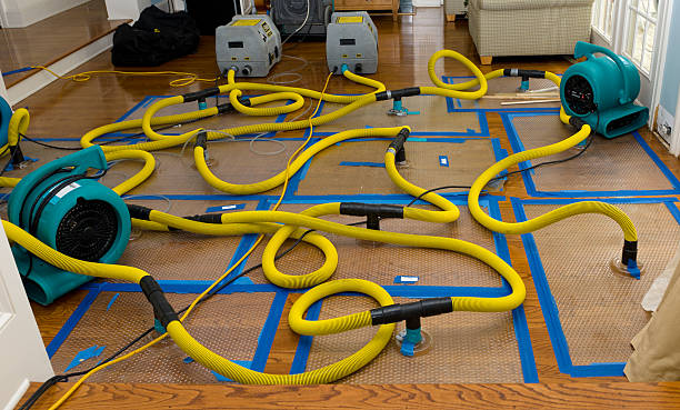 Professional Basement Flood Cleanup technician working in Vanderbilt, TX